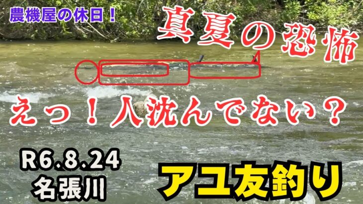 人じゃない？超ビビった！　アユ友釣り名張川　R6.8.24　鮎