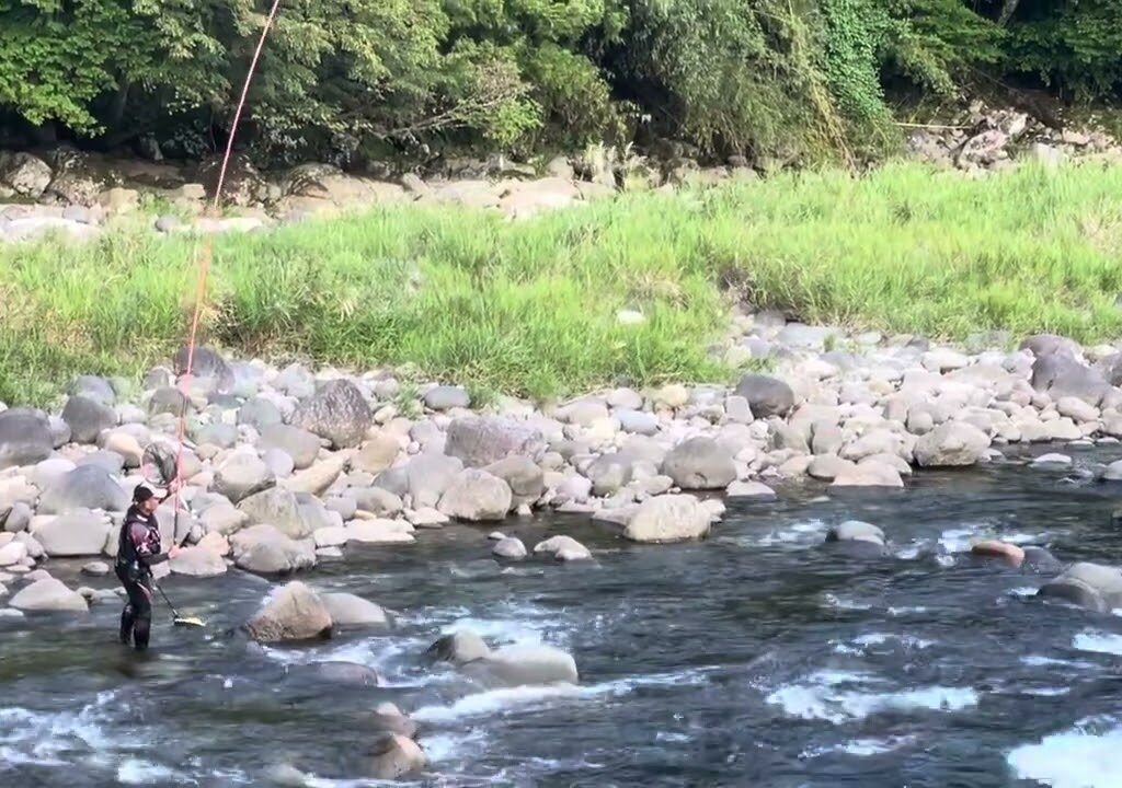 R6/9/4 長良川白鳥　光ちゃんの鮎釣り