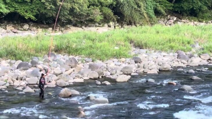 R6/9/4 長良川白鳥　光ちゃんの鮎釣り