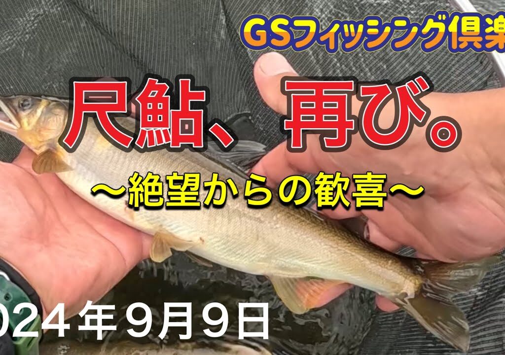 《鮎釣り》尺鮎、再び。絶望からの歓喜。アバンサー【Vol.26】GSフィッシング倶楽部