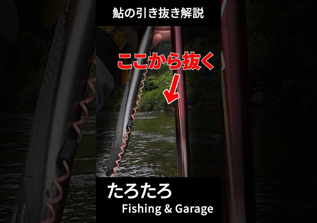 成功率大幅アップ！鮎の引き抜き解説 #釣り #鮎釣り #初心者 #fishing
