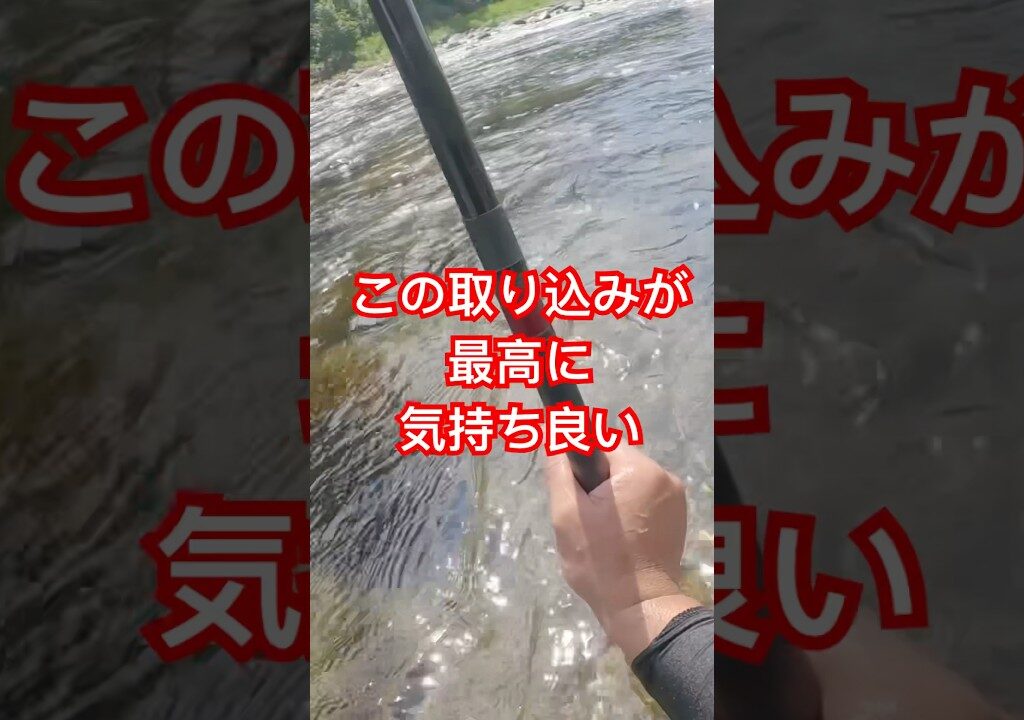 この鮎の取り込みが最高に気持ち良い #鮎 #アユ #鮎釣り #友釣り  #渓流釣り #清流 #川 #フィッシング #fishing #fishinglife