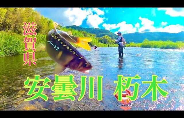 【鮎釣り】第１回追星チャンネルカップ開幕！ in安曇川朽木 パート2
