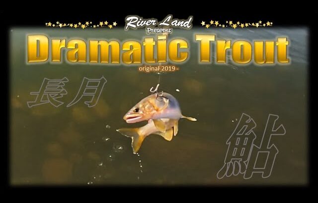 鮎釣りに行こう 又、又、又 ～ドラマティックトラウト trout fishing japan