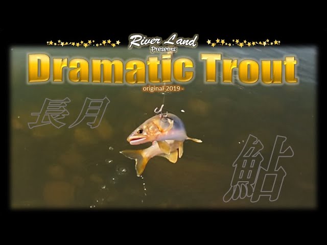 鮎釣りに行こう 又、又、又 ～ドラマティックトラウト trout fishing japan