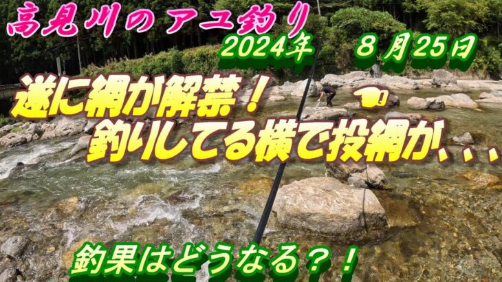 【高見川のアユ釣り】網解禁日に横で投網を投げられた＃アユ釣り＃高見川＃網解禁日