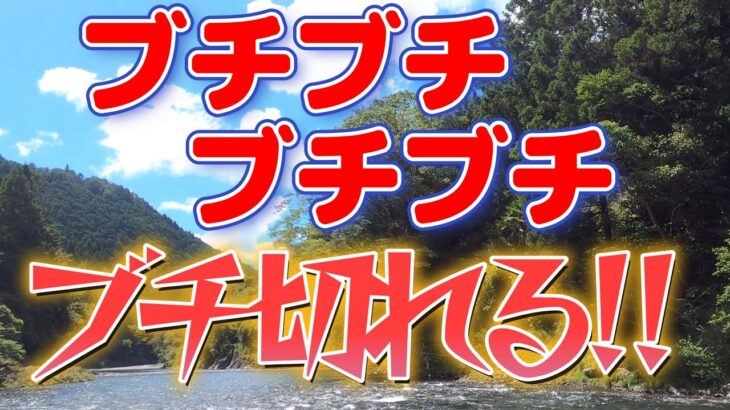 【鮎釣り】♫ふ～んだりけったり♪げつようび!!♬