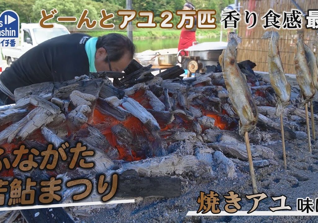 どーんとアユ２万匹、香り食感最高　舟形町・アユパークふながた