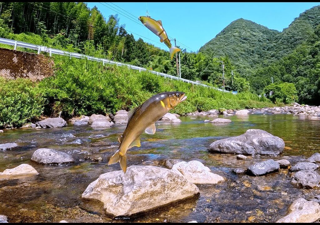 【清流釣り】帰省で田舎の綺麗な川で鮎釣り