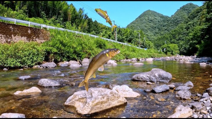 【清流釣り】帰省で田舎の綺麗な川で鮎釣り