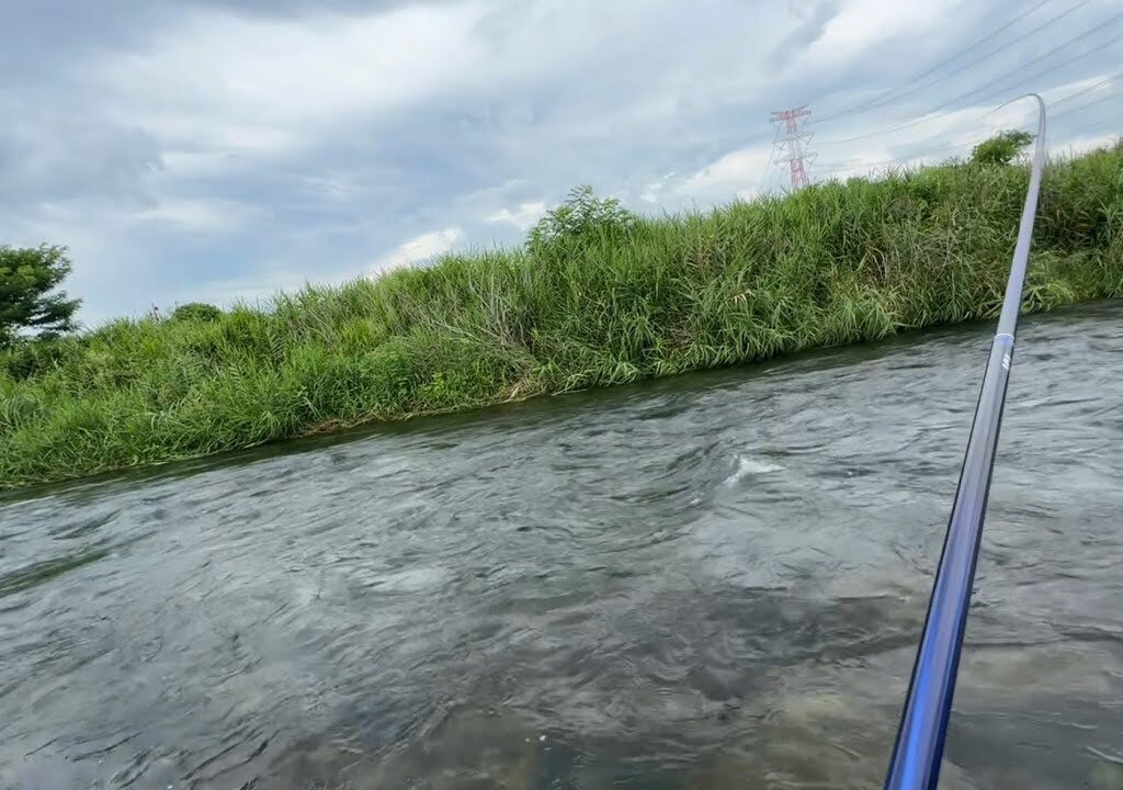那珂川支流箒川で鮎釣り