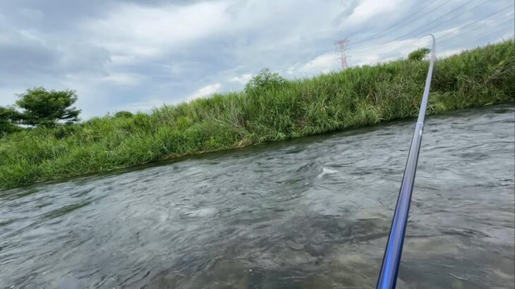 那珂川支流箒川で鮎釣り