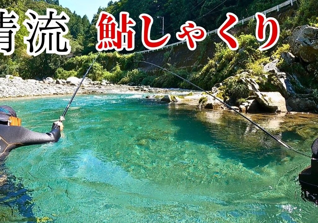 透明度の高い清流　水中で丸見えの鮎を釣り上げる