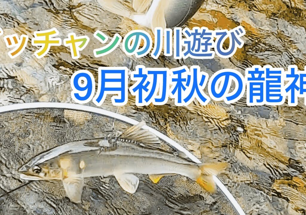 【鮎友釣り】グッチャンの川遊び　初秋の和歌山県龍神