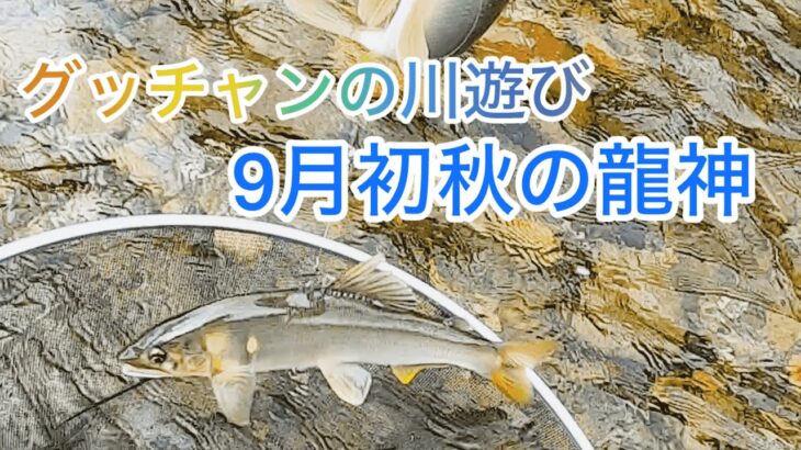 【鮎友釣り】グッチャンの川遊び　初秋の和歌山県龍神