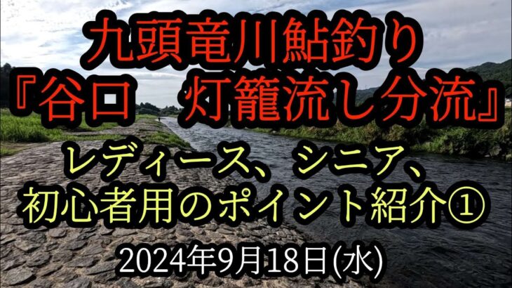 『レディース、シニア、初心者用のポイント紹介』九頭竜川鮎釣り　谷口　灯籠流し分流