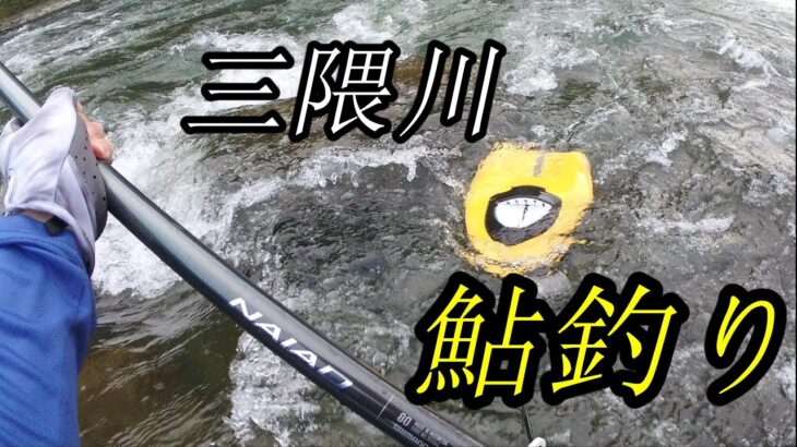 【鮎釣り】夕方の三隈川(玖珠)へ鮎釣りに行ってみた【友釣り】