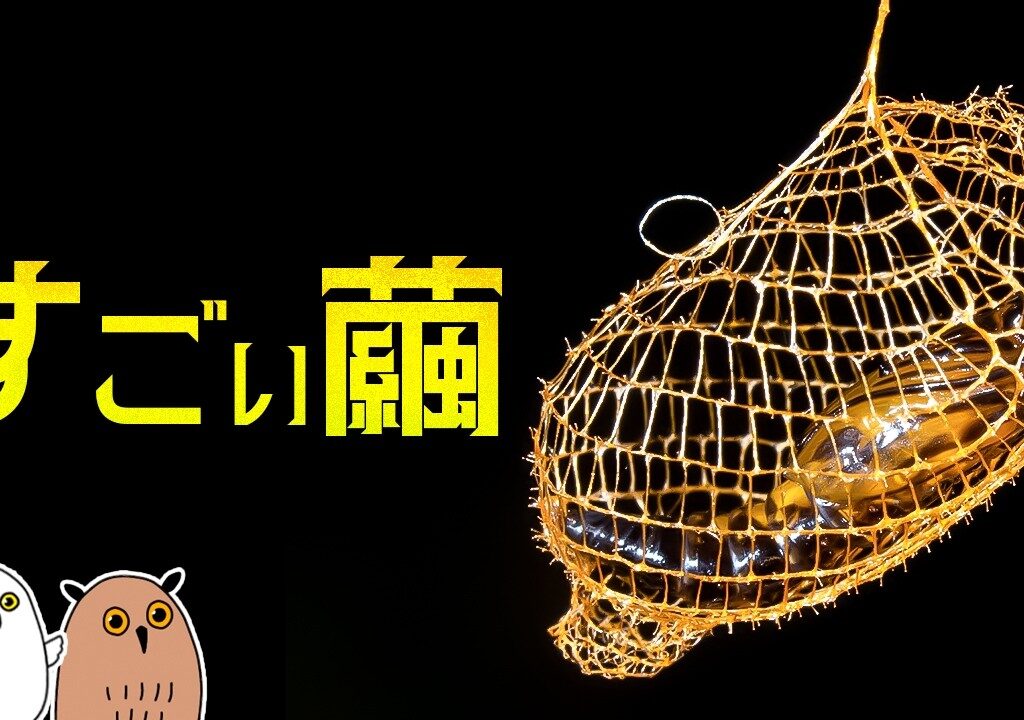 【ゆっくり解説】繭の進化｜昆虫の絶技【 進化論 / 科学 】