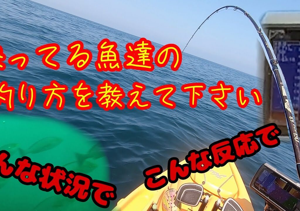 【水中動画あり】魚が全然おらんと思って確認したらおったわ！