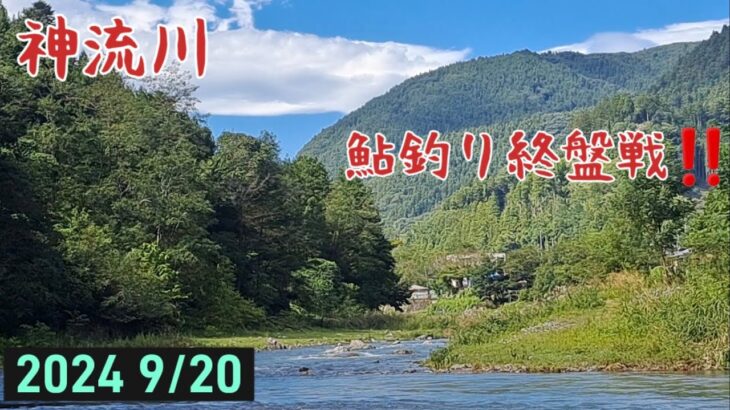 鮎釣り　終盤戦‼️鮎ちゃんに逢いたい🎶