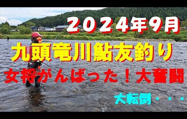 ２０２４年９月・九頭竜川鮎釣り女将大奮闘！いい鮎掛かってます！