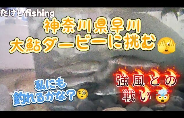 【鮎釣り】大鮎ダービー神奈川県早川に大鮎狙い🥳まさかの大風😅気合いと努力でなんのかカバー🤗