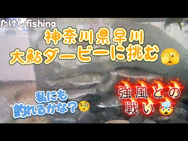 【鮎釣り】大鮎ダービー神奈川県早川に大鮎狙い🥳まさかの大風😅気合いと努力でなんのかカバー🤗