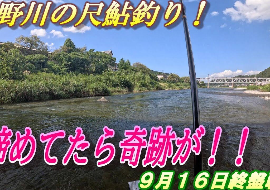 【吉野川の尺鮎チャレンジ】終盤戦の吉野川。諦めかけたらパラダイスを見つける＃吉野川アユ釣り＃尺鮎釣り