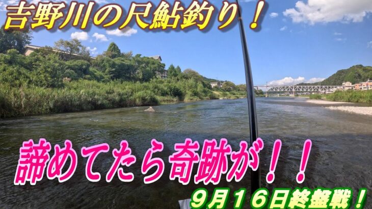 【吉野川の尺鮎チャレンジ】終盤戦の吉野川。諦めかけたらパラダイスを見つける＃吉野川アユ釣り＃尺鮎釣り