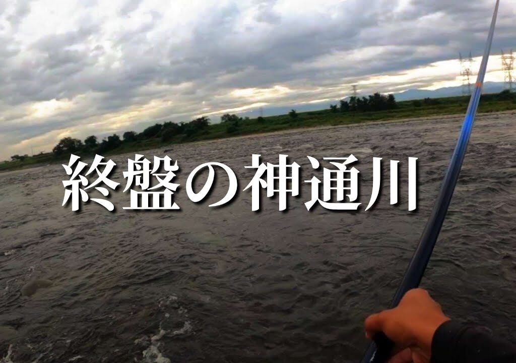 【鮎釣り】【友釣り】終盤の友釣り。まだまだ釣れる神通川