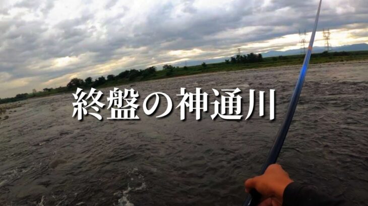 【鮎釣り】【友釣り】終盤の友釣り。まだまだ釣れる神通川