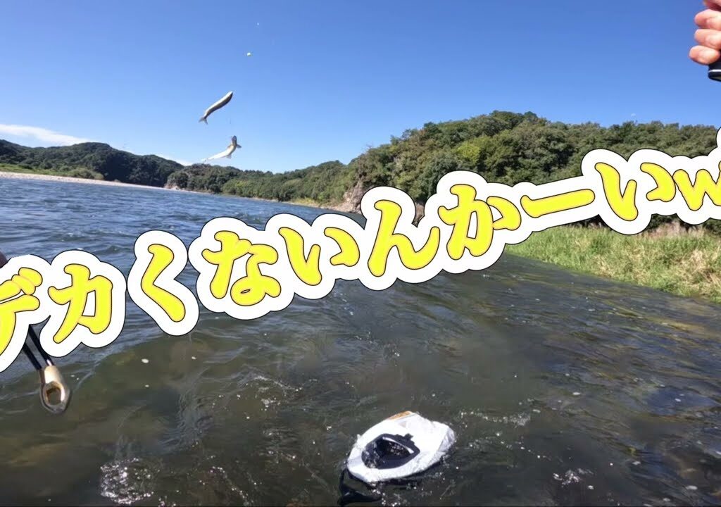 鮎釣り　長良川中央　デカ鮎を求めて　勘違い野郎　短編