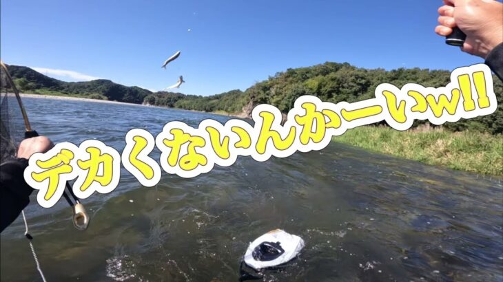 鮎釣り　長良川中央　デカ鮎を求めて　勘違い野郎　短編