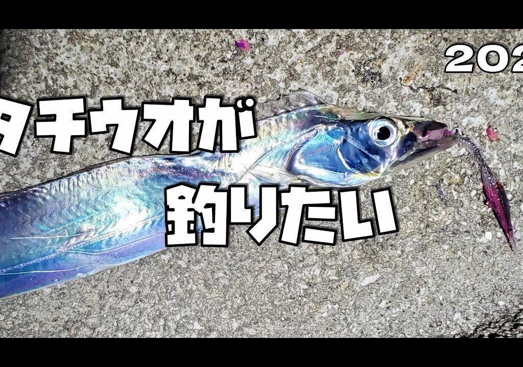 【開幕】タチウオを釣りたい男の２時間チャレンジ
