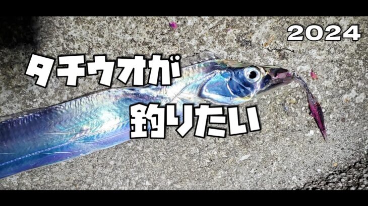 【開幕】タチウオを釣りたい男の２時間チャレンジ
