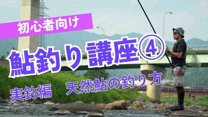 鮎釣り講座④実釣編　基本の泳がせ釣りと引き釣り【初心者向け】
