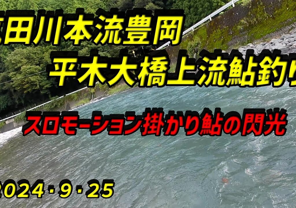 気田川本流豊岡平木大橋上流での鮎釣り