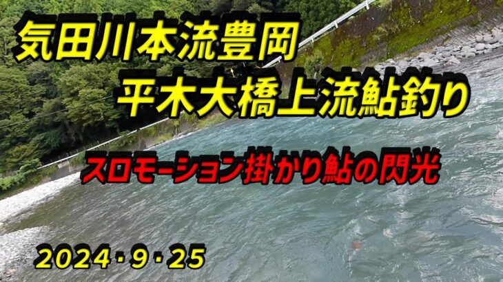 気田川本流豊岡平木大橋上流での鮎釣り