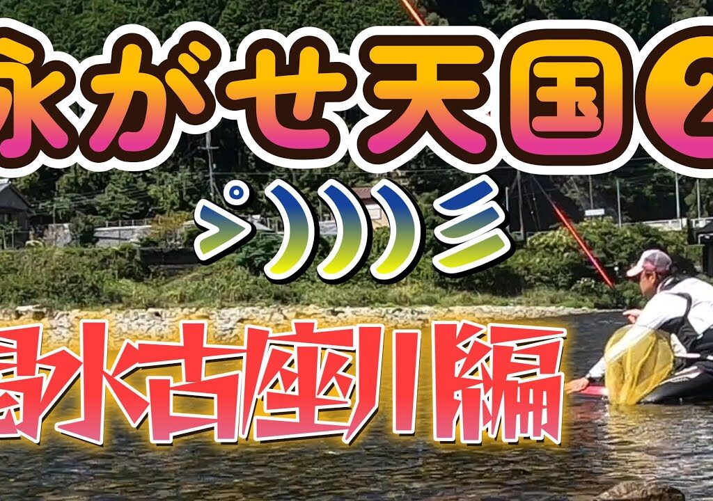 【鮎釣り】泳がせ釣りをマスターせよ！渇水チャラチャラ編！