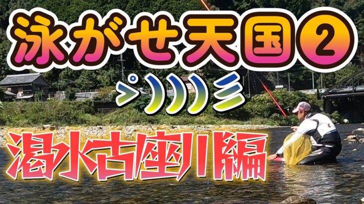【鮎釣り】泳がせ釣りをマスターせよ！渇水チャラチャラ編！