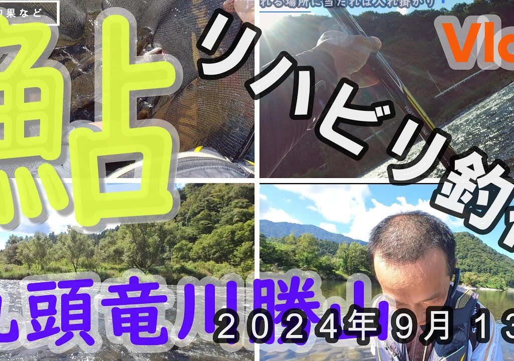 【九頭竜川勝山】リハビリ釣行　２０２４．９．１３