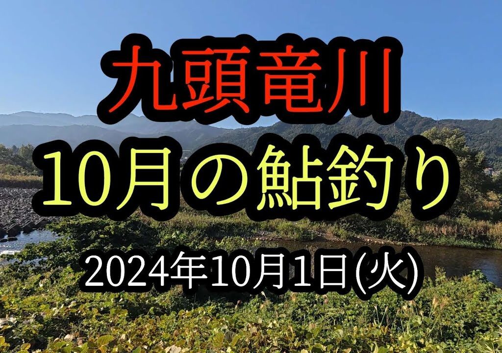 10月の九頭竜川鮎釣り