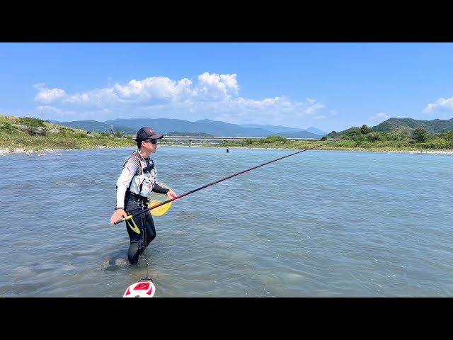 【鮎釣り】100%天然遡上　物部川の瀬で、小気味よく！美味な！鮎を狙う　高知県（物部川）