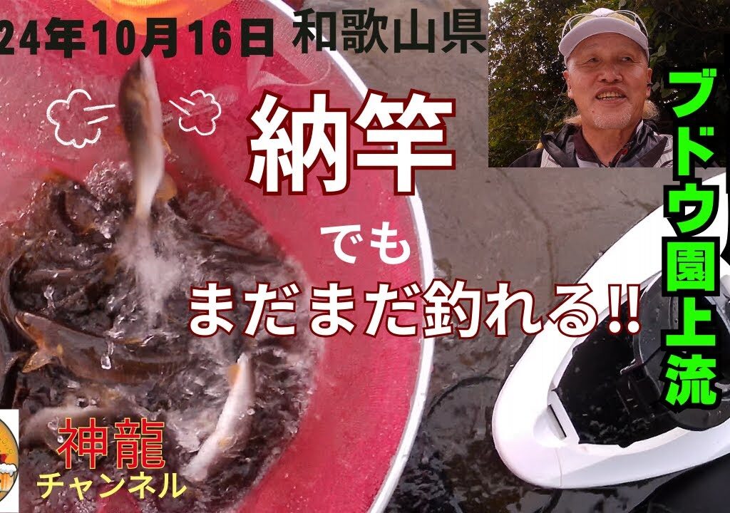 10月16日今年の鮎釣り最終回