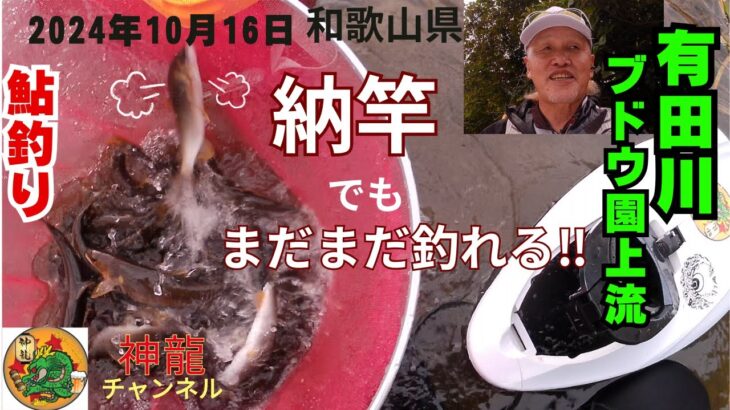 10月16日今年の鮎釣り最終回