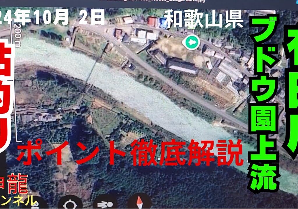 10月2日有田川の鮎釣り