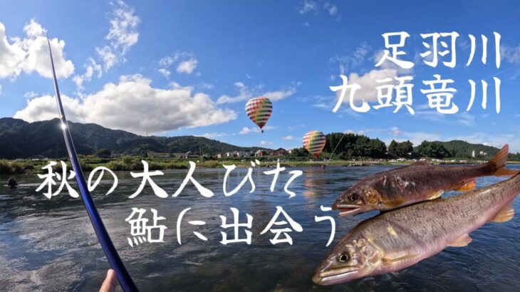 秋の足羽川九頭竜川で大人びた鮎に出会う【10月5,6日】