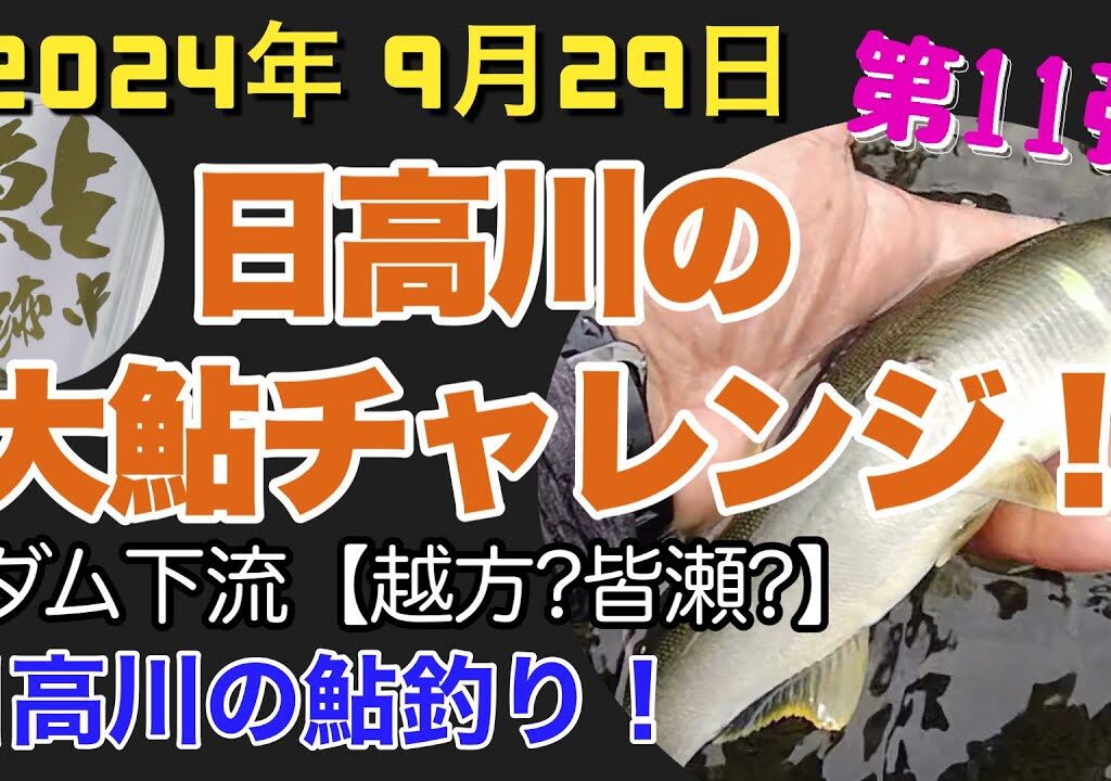 【日高川鮎釣り第11弾】2024年9月29日 、終盤の大鮎チャレンジ‼️