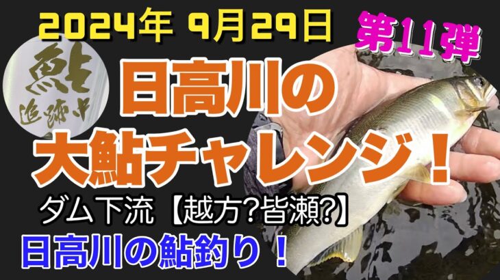 【日高川鮎釣り第11弾】2024年9月29日 、終盤の大鮎チャレンジ‼️