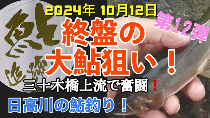 【日高川鮎釣り第12弾】2024年10月12日 、終盤の大鮎狙い‼️